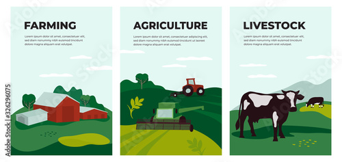 Vector illustrations of agriculture, farming and livestock. Posters with farmland landscape, tractor plows on field, agricultural building, cow in pasture. Template for banner, flyer, cover, brochure.