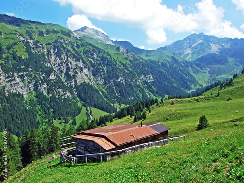 Cattle farms and traditional architecture in the Saminatal alpine valley and in the Liechtenstein Alps mountain range - Steg, Liechtenstein photo