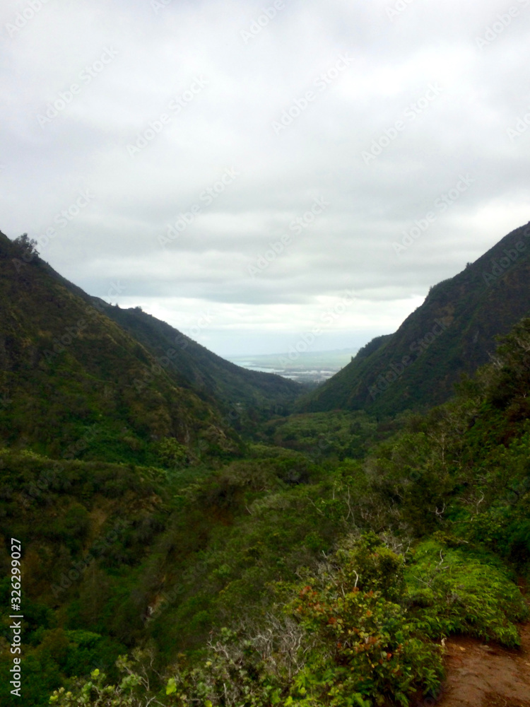 Fototapeta premium Iao Valley Wailuku in Maui Hawaii - OGG