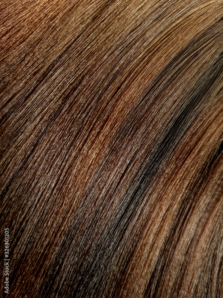A palette of shades of dyes for brunette hair in a beauty salon. A palette of shades of dyes for brunette hair in a beauty salon.