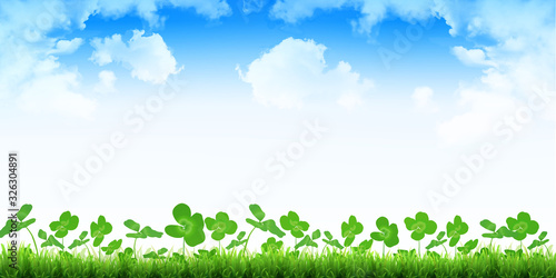 クローバー　葉　植物　背景