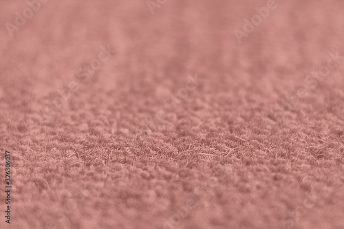 Trimmed pink carpet texture. Аocus with shallow depth of field.