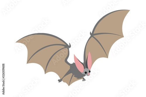 cute grey flying long-eared bat, bloodsucker, symbol of vampire, midnight & halloween holiday, witches` pet, color vector illustration isolated on white background in cartoon & hand drawn style