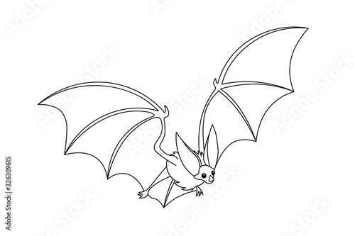 cute long-eared bat, bloodsucker, symbol of vampire, midnight & halloween holiday, witches` pet, vector illustration with black contour line isolated on white background in cartoon & hand drawn style