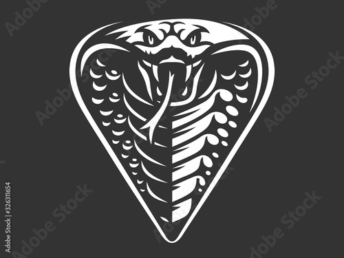 Vector head of a snake, king cobra  illustration, logotype, print, emblem design on a dark background