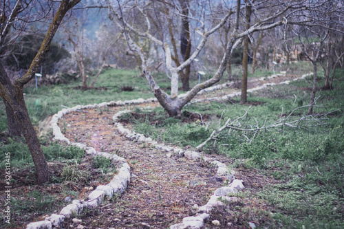 A winding and ancient trail within the sataf reserve, an ancient agricultural site using traditional methods. Vegetation and trees on a hiking trail, photo