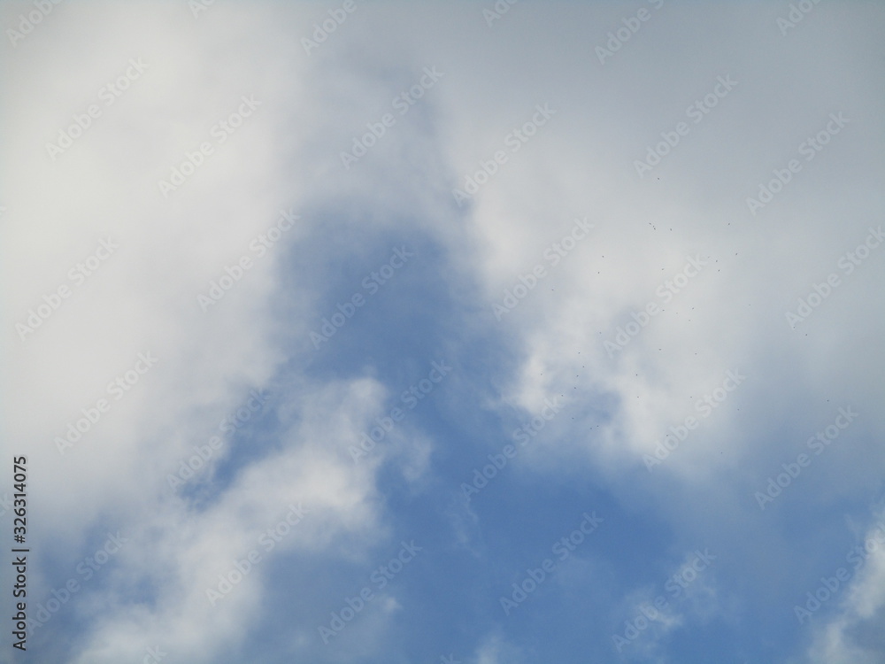 Obraz premium clouds in the sky