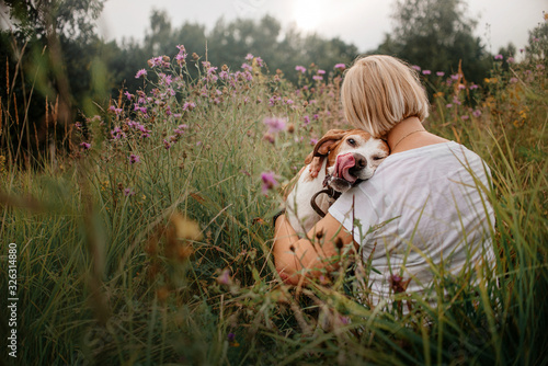 Fototapeta Naklejka Na Ścianę i Meble -  old pointer dog and owner posing together in the meadow in summer