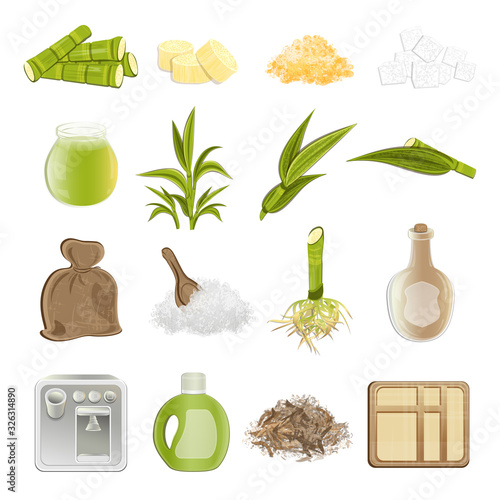 Sugarcane set with granulated sugar and pieces, cane sticks, green leaf, etc. Vector EPS 10