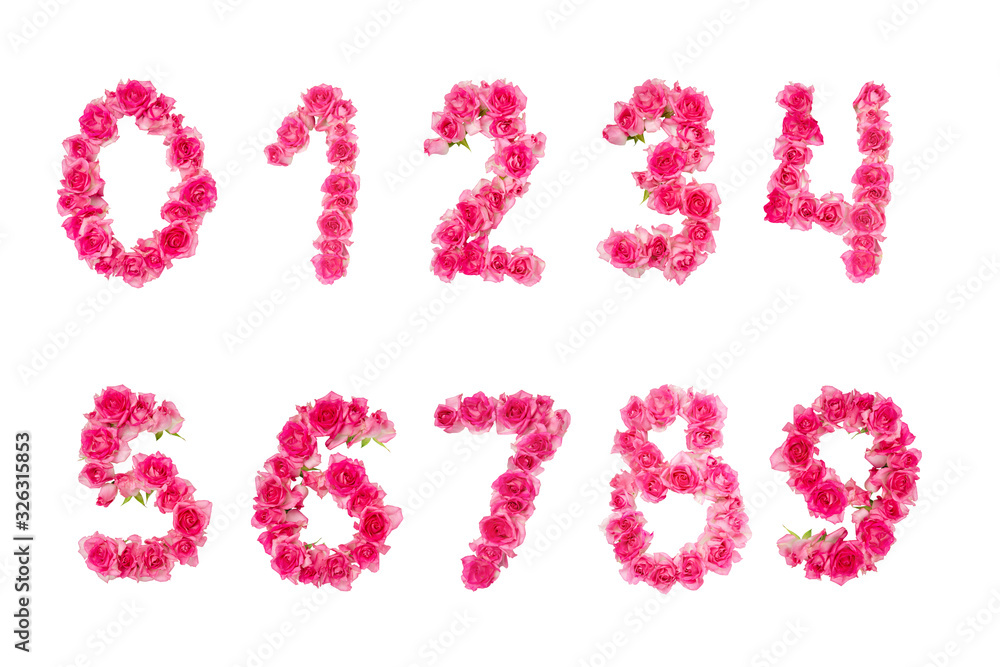 Numbers 0-9 of pink roses on a white isolated background. Element for decoration.