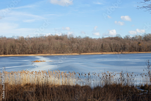 Landscape of a winter lake and dry trees. Nature is in a state of hibernation