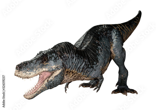 3D Rendering Tyrannosaurus Rex on White