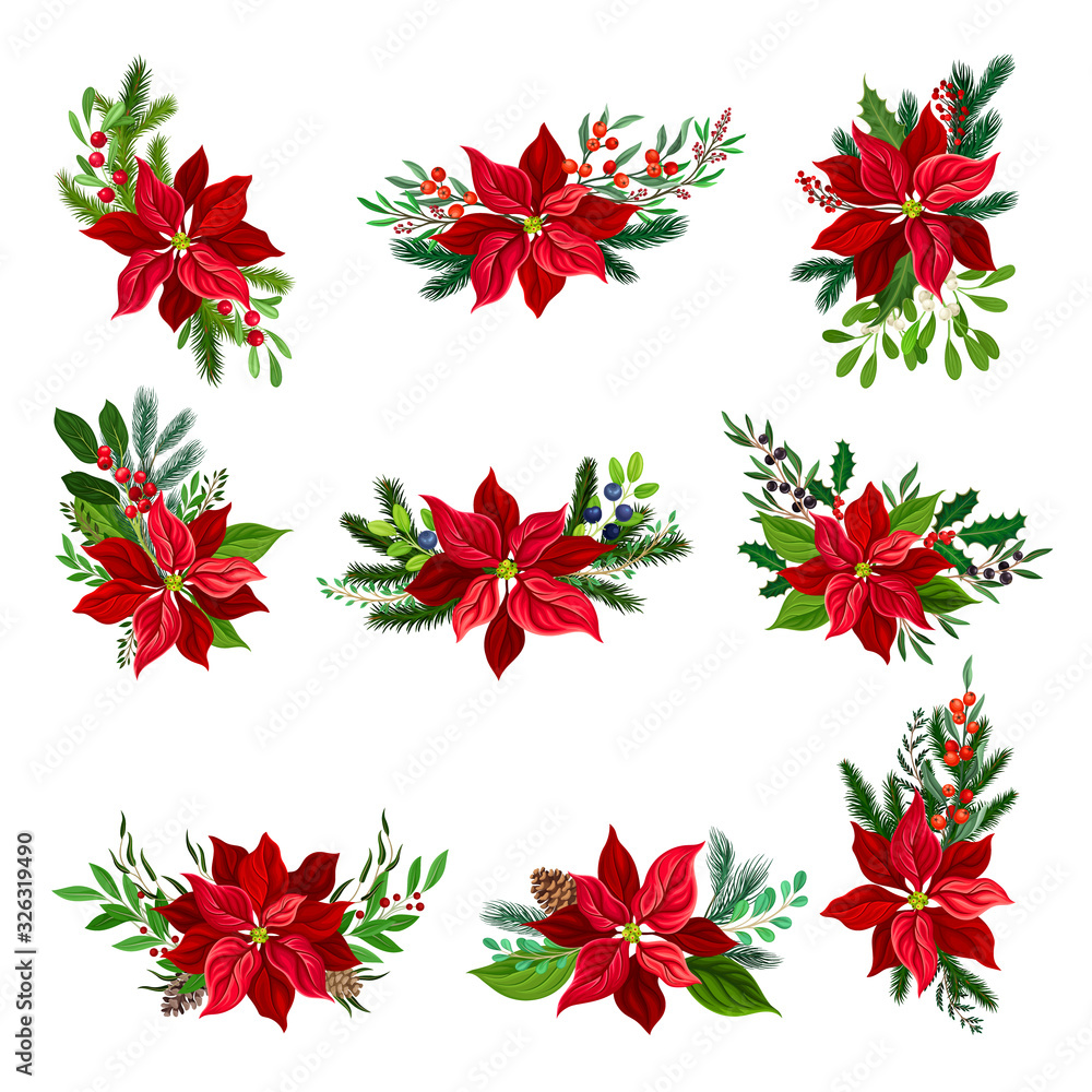 Christmas Flower Arrangements with Fir Tree Twigs and Mistletoe Branches Vector Set Christmas Flower Arrangements with Fir Tree Twigs and Mistletoe Branches Vector Set
