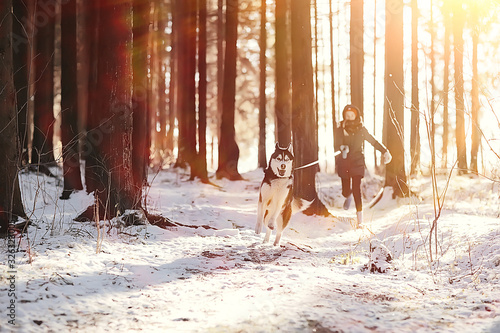 children play with a dog in the winter landscape of a sunny forest, snowfall girls and husky © kichigin19