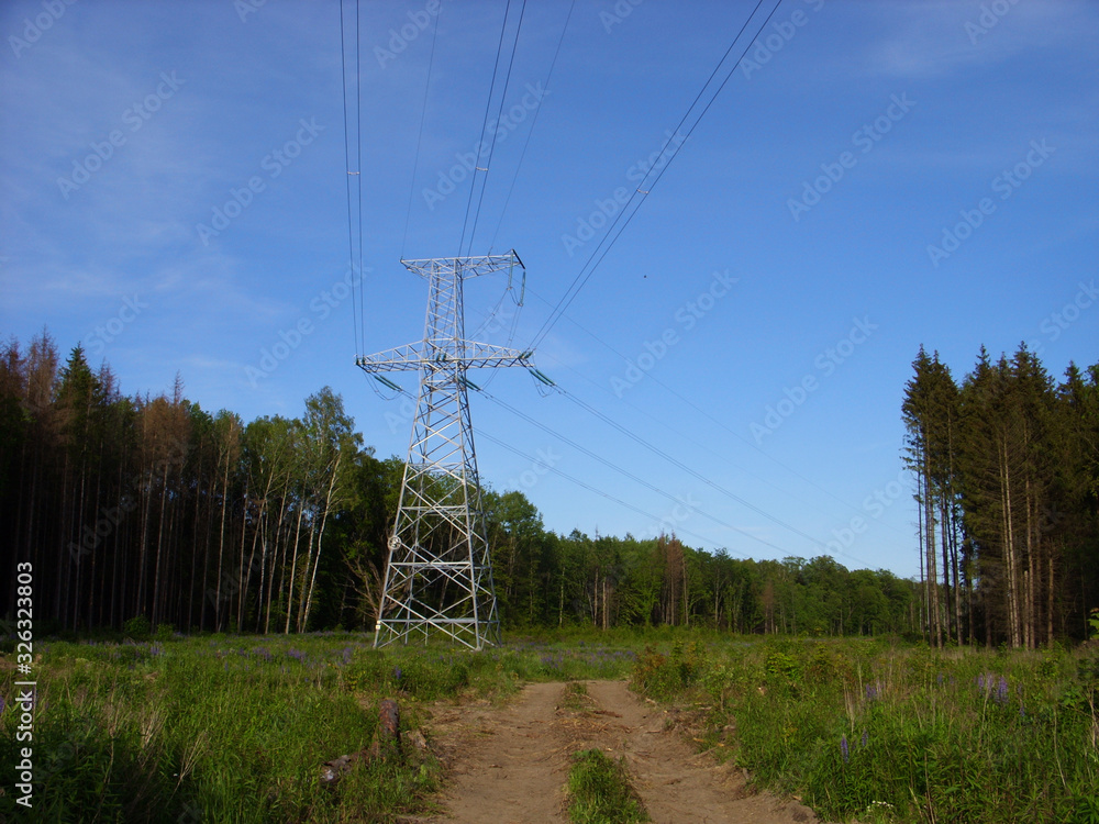 Obraz premium Electrical networks