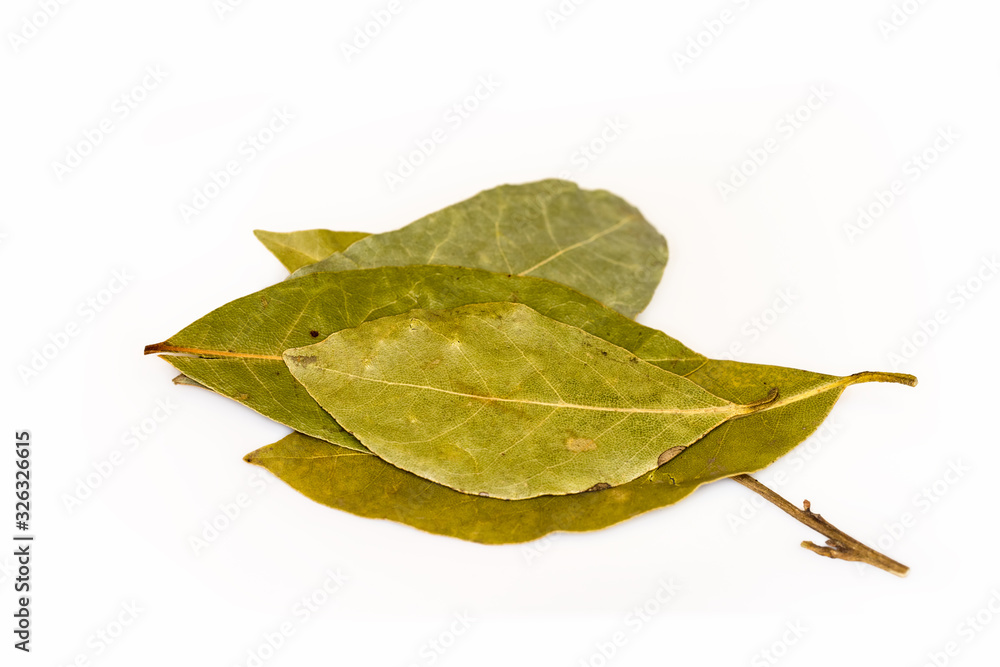 bay leaf isolated on white bay leaf isolated on white
