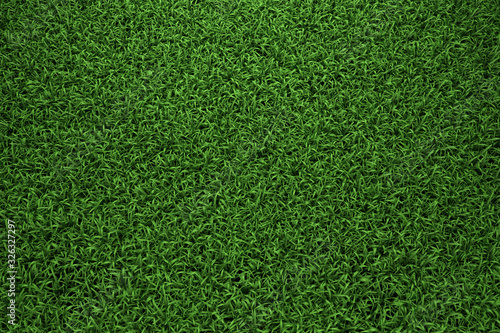 Grass background top view 3D Render © ruangrit19