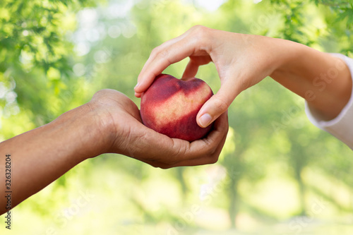 food, fruit and healthy eating concept - multiracial couple hands with peach over green natural background