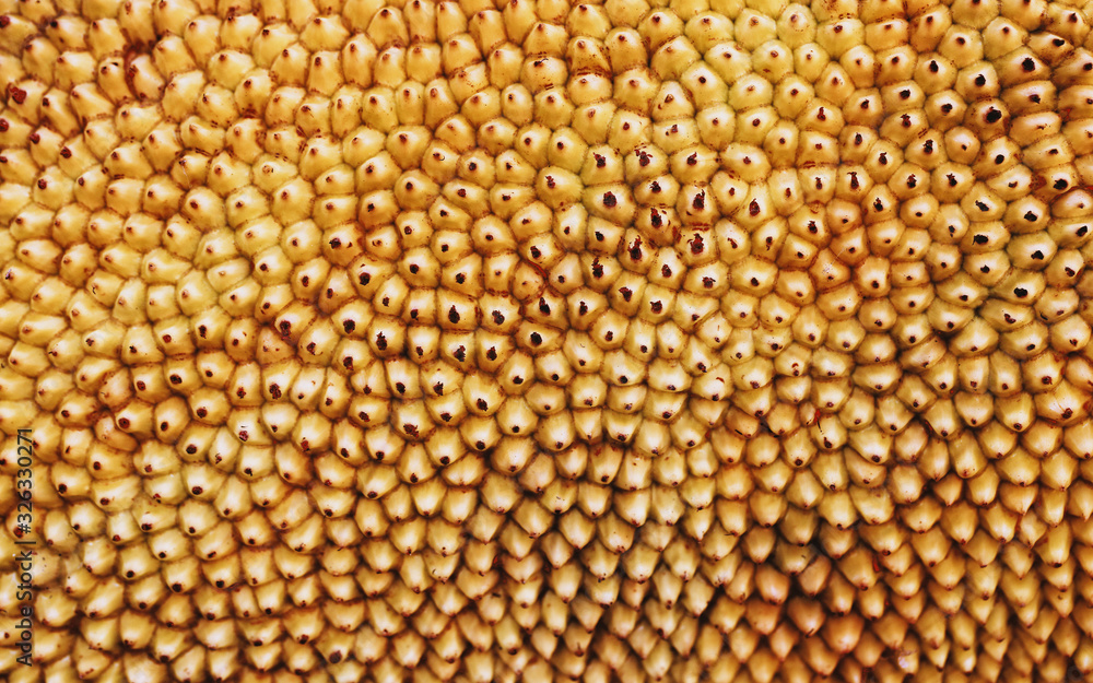 Macro photography of thorns pattern on Jackfruit. Macro photography of thorns pattern on Jackfruit.