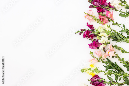 Snapdragon flower border on white background. Flowers compositio