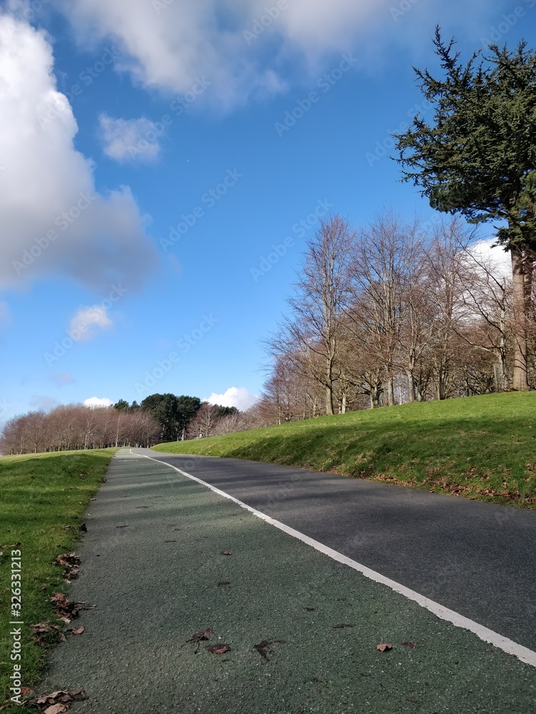 Fototapeta premium road in the countryside