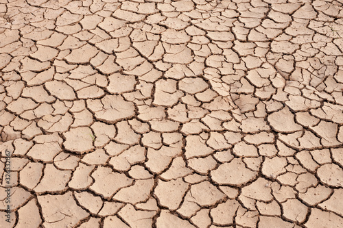 Crack soil on dry season