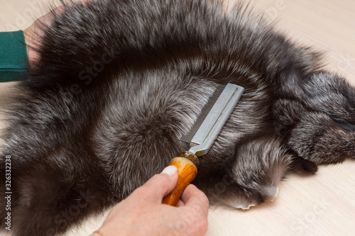 Women's hands comb the fur