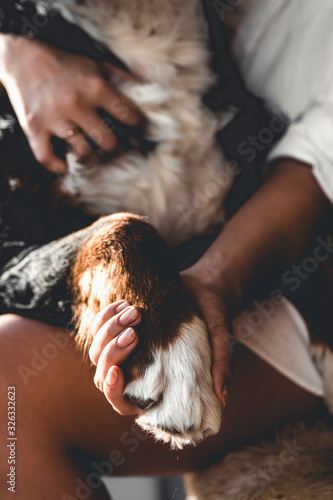 Young beautiful woman hugging her pet - dog at home. Close up portrait. Bernese Mountain Dog