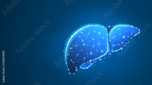 Liver, Human organ. Adult body anatomy, health biology, internal world of people. Low poly, wireframe 3d vector illustration. Abstract, polygonal image on blue neon background