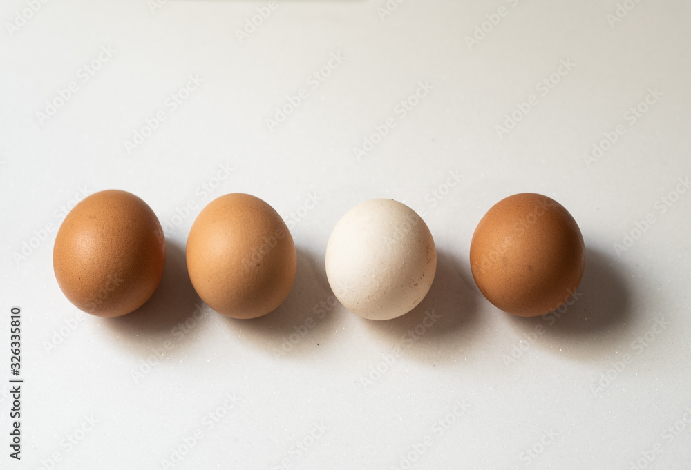 Egg, which stand out from other egg. Egg, which stand out from other egg.