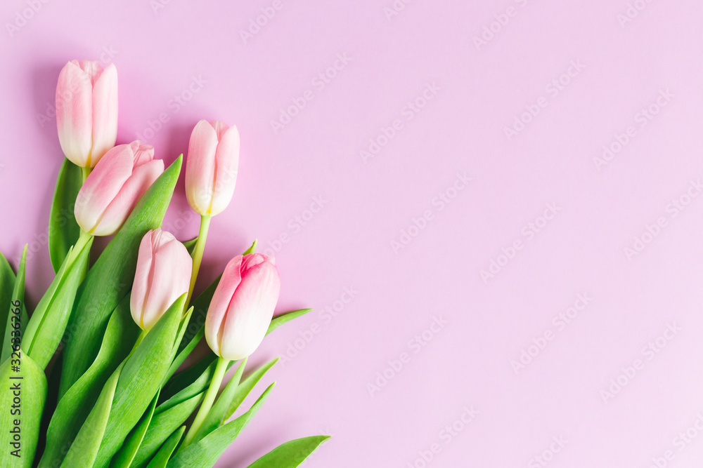 Tender pink tulips on pastel violet background. Greeting card for Mother's day.