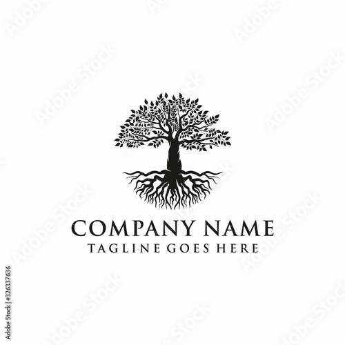 Tree, oak banyan leaf and root logo design inspiration