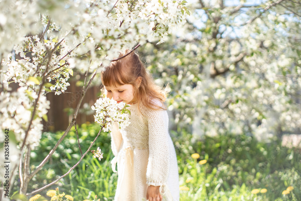 Adorable girl sniffing flowers in the blooming cherry tree garden on sunny day. Adorable girl sniffing flowers in the blooming cherry tree garden on sunny day.
