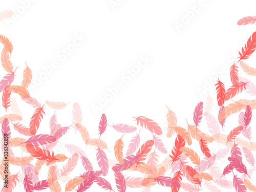Falling feather elements soft vector design.