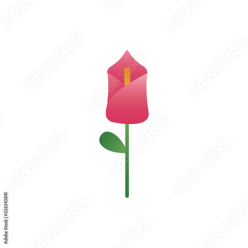 cute flower with leaf spring degradient style icon photo