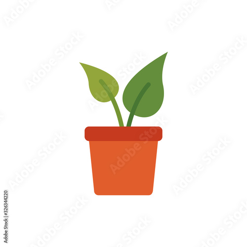 house plant cultivating flat style