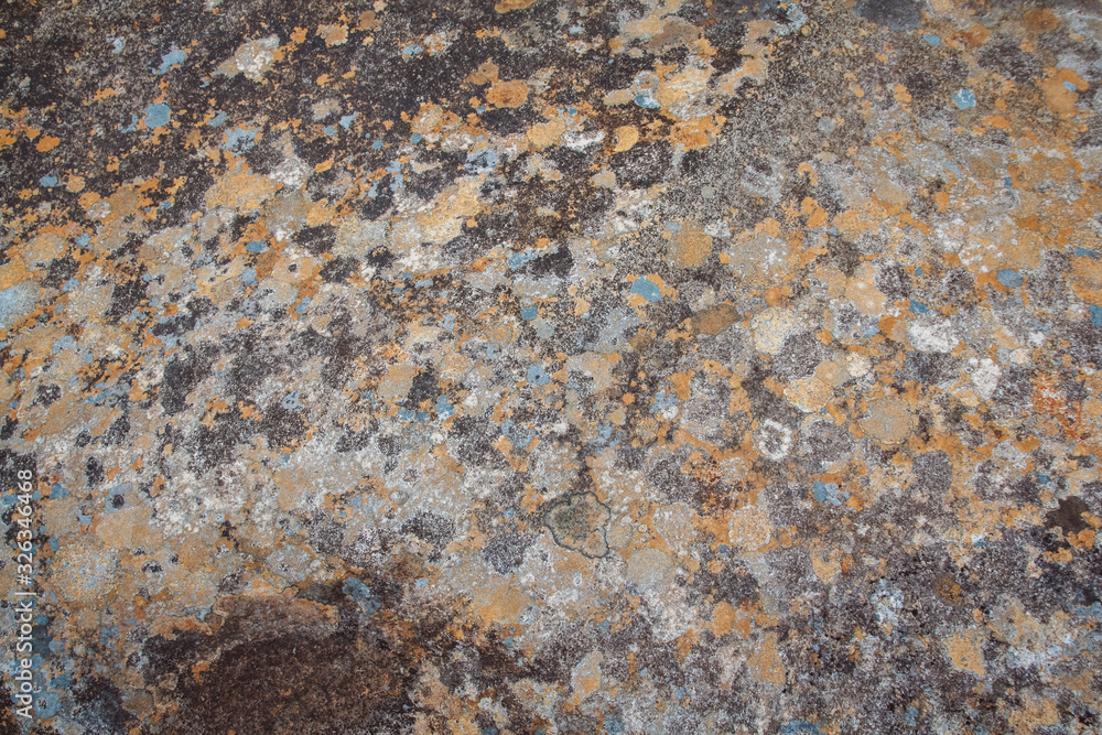 Texture of natural stone with moss and mold. Place for text or advertising Texture of natural stone with moss and mold. Place for text or advertising