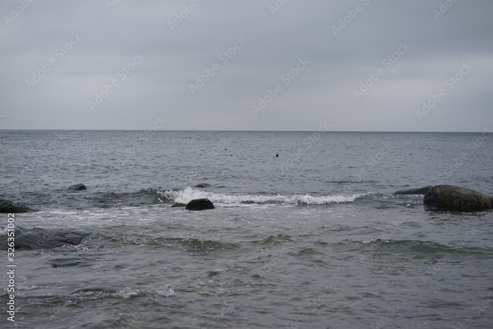 Grey seals peeking out the wild waters of the baltic sea at Cape Arkona, island Rugia, Baltic Sea, Germany Grey seals peeking out the wild waters of the baltic sea at Cape Arkona, island Rugia, Baltic Sea, Germany
