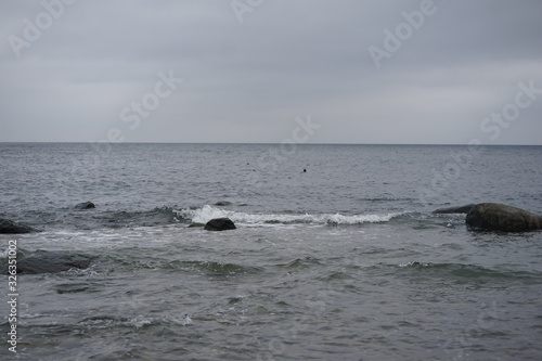 Grey seals peeking out the wild waters of the baltic sea at Cape Arkona, island Rugia, Baltic Sea, Germany 