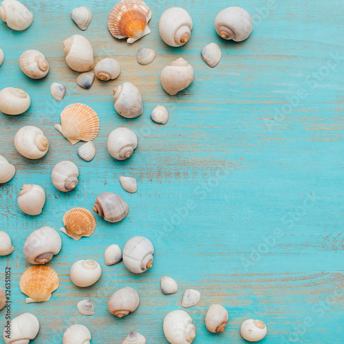 Top view of seashells on blue wood background. © Lightsy