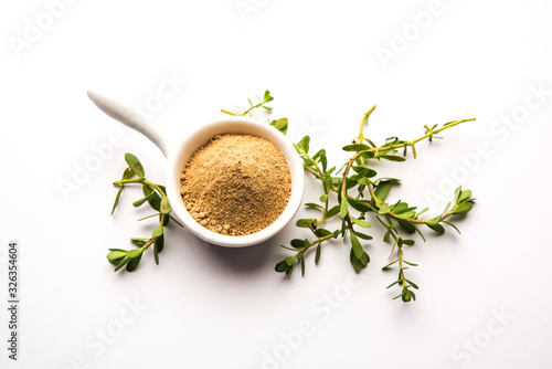 Bacopa monnieri herb plant or Ayurvedic  Brahmi plant with powder in a bowl, selective focus photo