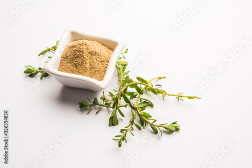Bacopa monnieri herb plant or Ayurvedic  Brahmi plant with powder in a bowl  selective focus