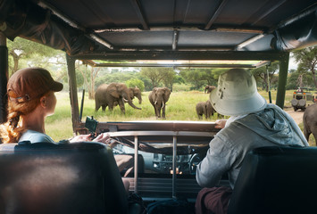 Couple young people watch wild elephants on safari tour in national park in Africa.
