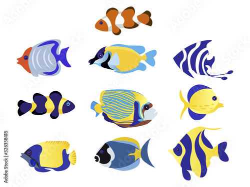 Exotic Fish Set animal raster illustration flat