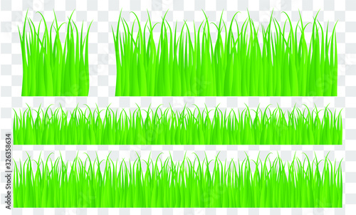 Vector green lawn grass texture illustration  natural  organic  bio  eco label and shape on white background. Ground land pattern. 