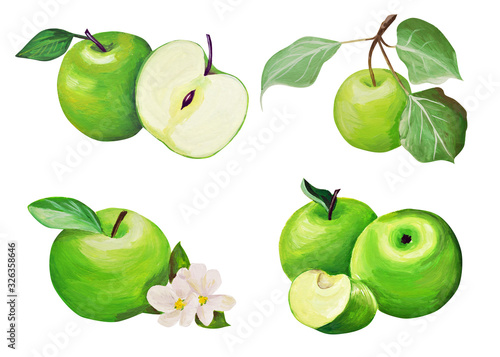 set. Apples Hand drawing isolated on a white background. Gentle green apples drawn in gouache in the style of realism.