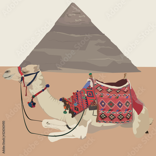 Egyptian pyramid, Giza, Cairo and camel, vector illustration