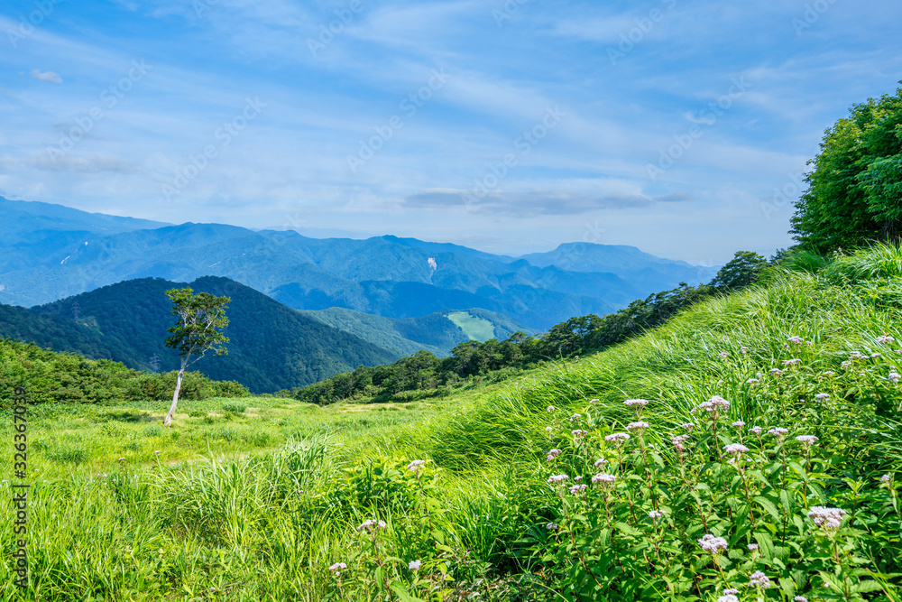 Obraz premium 群馬県 谷川岳 天神峠の風景