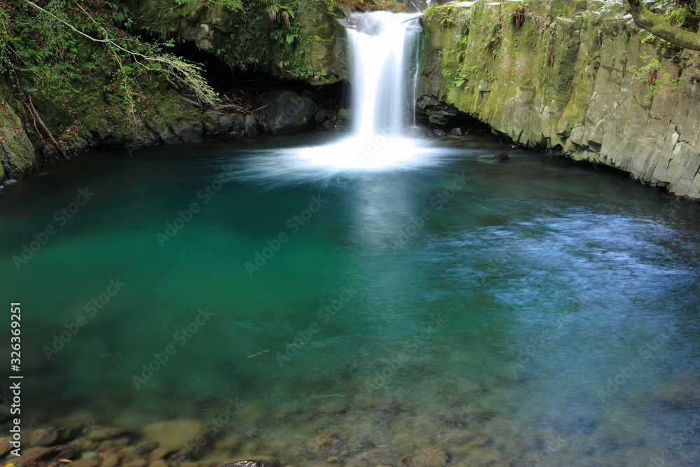 Fototapeta premium 河津七滝 蛇滝