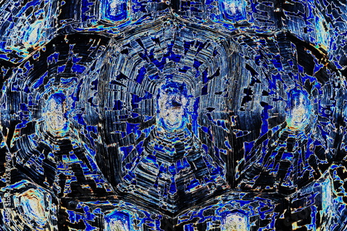 Schildkröten Panzer Pattern blau 7063
